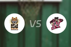 爱达荷州立大学vs加州州立北岭分校比分预测【2025/11/29】