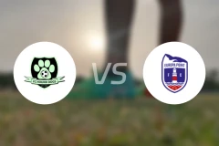 猎犬队vs欧罗巴角比分预测【2025/11/29】