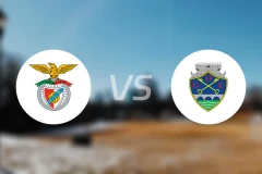 本菲卡B队vs查维斯比分结果战报【2024/10/06】