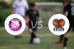 视觉FCvs狮心比分预测【2025/11/23】