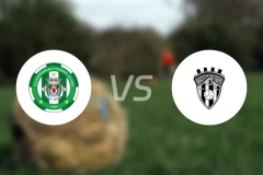 维拉维登斯vs塞洛罗森塞比分预测【2025/11/16】