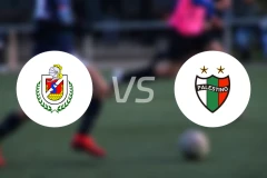 塞雷那vs帕莱斯蒂诺比分预测【2025/11/30】