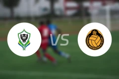 加蓬vs莫桑比克比分预测【2025/12/28】