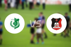 阿尔安达卢西vs阿尔莫罗比分预测【2026/01/29】