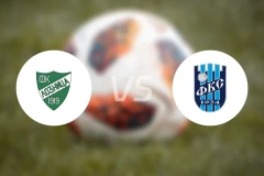 洛兹尼察vs塞门德里亚1924比分预测【2025/11/15】