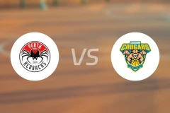 珀斯红背蜘蛛vs科伯恩美洲狮比分预测【2026/03/27】