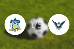 赞岐釜玉海vs鸟取飞翔比分预测【2025/11/02】