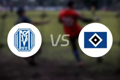 梅彭vs汉堡比分预测【2024/08/19】