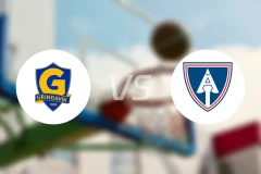 格林达维克vs艾尔曼尼比分预测【2025/12/12】