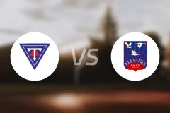 堤达斯托尔vs阿佛坦斯比分预测【2026/03/22】