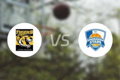 图寅根vs波鸿比分预测【2025/11/23】