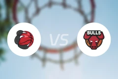 猛龙vs公牛比分预测【2026/02/20】