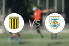阿尔米兰提布朗vs拉费尔拿比分结果战报【2024/10/15】