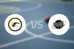 延纳斯多夫vs维也纳联比分预测【2026/01/11】