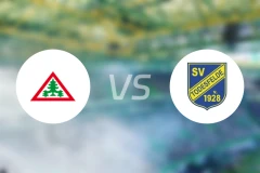 霍恩韦斯特特vs托德斯费尔德比分预测【2025/11/29】