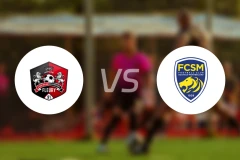 弗勒里梅洛吉斯vs索肖比分结果战报【2025/11/08】