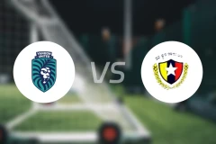 仰光联vs蒂察尔阿尔曼比分预测【2026/02/10】