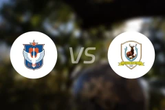 新潟天鹅乙队vs淡滨尼流浪者比分预测【2025/12/14】