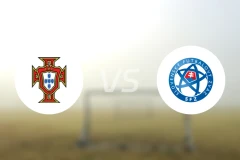 葡萄牙女足vs斯洛伐克女足比分结果战报【2026/03/08】