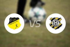 FV杜登霍芬vs赫塔维斯巴赫比分预测【2025/11/22】