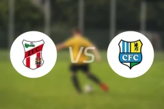 穆瑟维茨vs开姆尼茨比分预测【2024/08/31】