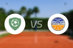 维耶vs霍尔贝克比分预测【2026/01/24】