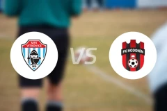 维特科维斯vs霍多宁比分预测【2025/11/01】