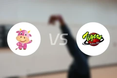 台元纺织女篮vs国泰人寿女篮比分预测【2026/01/04】