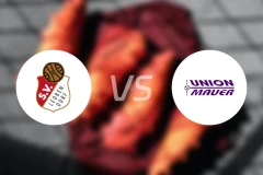 雷欧贝多夫vs莫尔比分预测【2025/11/01】