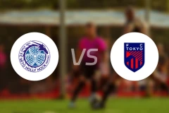 水户蜀葵vsFC东京比分预测【2026/03/14】