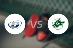 特莱维奥vs阿维利诺比分预测【2026/02/16】