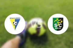 拉夫尼茨vs维兹比分预测【2026/03/28】