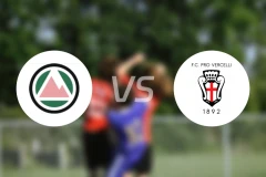 多洛米蒂贝卢诺vs韦尔切利比分预测【2026/02/15】