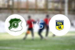 SV索尼克斯vsTSV梅尔布施比分预测【2026/03/29】