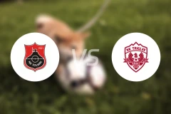 托尔明vs拖里格拉瓦比分预测【2024/10/26】