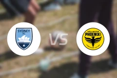 悉尼FCvs惠灵顿凤凰比分预测【2026/01/18】