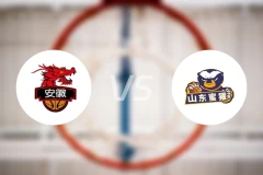 安徽皖江龙vs山东蜜獾录像回放【2025/12/25】