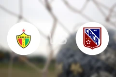 布鲁斯基vs卡洛斯雷纳比分预测【2026/01/12】