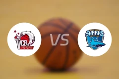 温蒂查兰vs昂蒂布比分预测【2026/01/31】