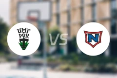 托尔vs拿尔维克比分预测【2026/03/20】