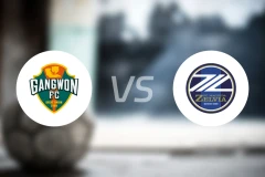 江原FCvs町田泽维亚比分预测【2025/11/25】