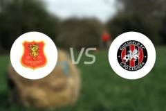 纽顿vs圭斯菲德比分预测【2026/02/21】