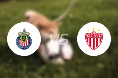 瓜达拉哈拉女足vs内卡萨女足比分预测【2025/11/01】