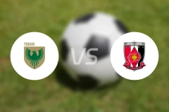东京绿茵vs浦和红钻比分预测【2024/10/19】