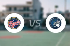 狂热vs山猫比分预测【2025/08/25】