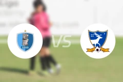 圣露西亚FCvs苏奇特佩基比分预测【2026/04/17】