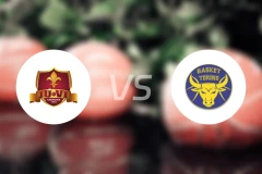 费拉罗尼vs都灵比分预测【2025/12/15】