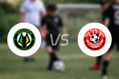 普莱西亚B队vs皇家帕哈姆比分预测【2026/03/29】