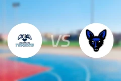 蒙特利尔苔原vs詹姆斯敦豺狼比分预测【2026/02/21】