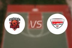 埃斯基谢希尔篮球vs特斯维基亚比分预测【2026/02/14】